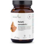 Aura Herbals spory reishi 800 mg + vitamín C 60 kapslí – Hledejceny.cz