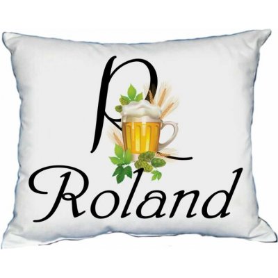 Moon River ROLAND polštář s pánským jménem 30x40 – Hledejceny.cz