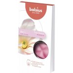 Bolsius Aromatic 2.0 True Sents Vosk Magnolia 6 ks – Hledejceny.cz