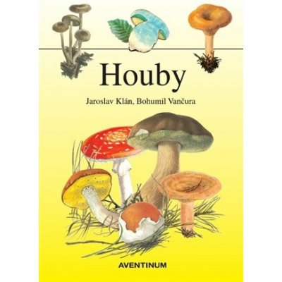 Houby – Sleviste.cz