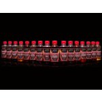 Sportcarp booster Mulberry Garlic 250 ml – Zboží Dáma