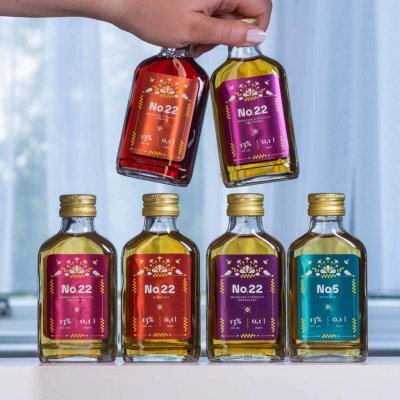 Včelařství Domovina Medovinová ochutnávka 6x 100 ml medoviny – Zboží Dáma