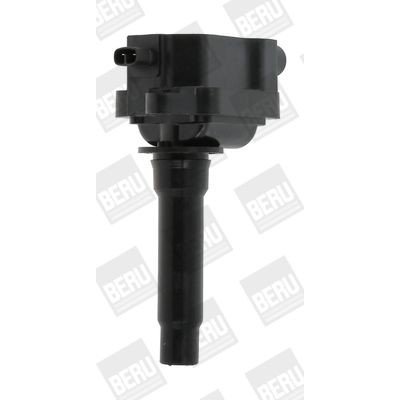 Zapalovací cívka BorgWarner (BERU) ZS434 – Hledejceny.cz