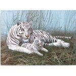Malování podle čísel Bílý tygr s mládětem – Zbozi.Blesk.cz