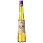 Galliano Vanilla 30% 0,7 l (holá láhev) – Zboží Dáma