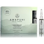 Paul Mitchell Awapuchi Wild Ginger Keratriplex Treatment 10 x 10 ml – Hledejceny.cz