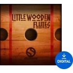 Soundiron Little Wooden Flutes Digitální produkt – Zboží Živě