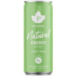 Puhdistamo Natural Energy Drink zelené jablko 330 ml – Sleviste.cz