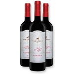 Askaneli ALAZANI VALLEY červené polosladké gruzínské víno 2025 11,5% 0,75 l (holá láhev) – Hledejceny.cz