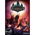 Pillars of Eternity – Hledejceny.cz