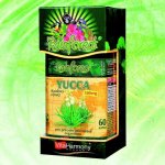 VitaHarmony Yucca 500 mg 60 kapslí – Zboží Mobilmania