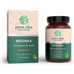 Green idea Brusinka obecná bylinný extrakt 60 kapslí – Hledejceny.cz