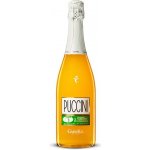 Canella Puccini Ciaculli cocktail sicilská mandarinka 5 % 0,75 l (holá láhev) – Zbozi.Blesk.cz