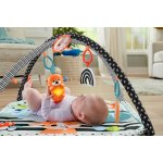 Fisher Price Hrací dečka s vydrou 3v1 – Zboží Dáma