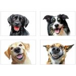 IMPOL TRADE SPSC 13060 SK1 Samolepky na zeď veselí psi rozměr 45 x 65 cm – Sleviste.cz