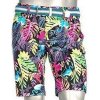 Pánské kraťasy a šortky Alberto Earnie Waterrepellent Flamingos Mens shorts Fantasy