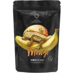 Gecko Nutrition banán, mango 100 g – Zboží Dáma