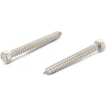 INOX DIN 7976 šroub do plechu se šestihranou hlavou, nerez A2 Varianta: DIN 7976 C šroub do plechu 6HR. hlava, nerez A2 5,5X100 – Hledejceny.cz