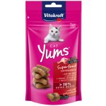 Vitakraft Cat Yums Superfood kachna bezinka 40 g – Zboží Mobilmania