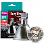 Arcadia Deep Heat Projector 80 W – Zboží Dáma