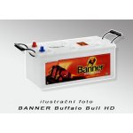 Banner Buffalo Bull 12V 100Ah 600A 600 35 – Hledejceny.cz