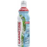 NUTREND Carnitine Magnesium Activity Drink bezinka + máta 750 ml – Hledejceny.cz