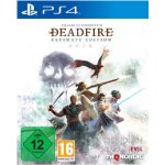 Pillars of Eternity 2: Deadfire – Zboží Dáma