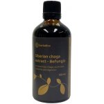 Herbatica Befungin tinktura s extraktem sibiřské čagy 100 ml – Hledejceny.cz