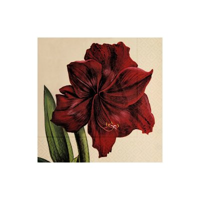 Papírový ubrousek Orange Autumn Plants Amaryllis – Hledejceny.cz