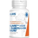 PADU Alavis MSM+Glukosamin sulfát pro psy 60 tablet – Hledejceny.cz