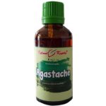 Bylinné kapky Agastache tinktura 50 ml – Hledejceny.cz