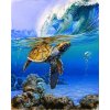 Malování podle čísla Gaira Malování podle čísel Mořská želva