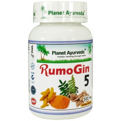 Planet Ayurveda RumoGin5 500 mg 60 kapslí – Zboží Mobilmania