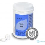 Radim Bakeš Galenická laboratoř Ostrava AKH Silicea 60 tablet – Hledejceny.cz
