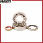 HOT RODS sada ložisek a gufer klikové hřídele KTM, Husqvarna, Gas Gas 450-500cc 4T | Zboží Auto