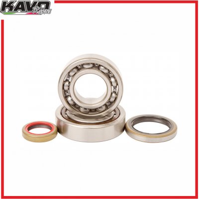 HOT RODS sada ložisek a gufer klikové hřídele KTM, Husqvarna, Gas Gas 450-500cc 4T | Zboží Auto