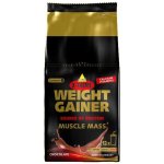 Inkospor X-Treme Weight Gainer 1200 g – Hledejceny.cz