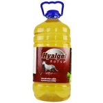 Silvita Hyalgel Horse jablko 5 l – Zboží Dáma