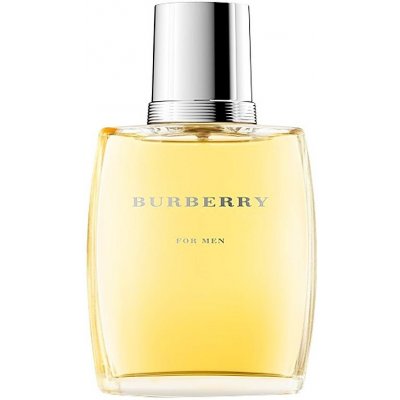 Burberry Burberry For Men toaletní voda pánská 100 ml – Sleviste.cz