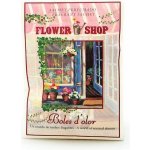 Boles d´olor Vonný sáček kapesní malý papírový 5,5 x 7,5 x 0,3 cm Flower Shop – Hledejceny.cz