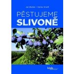 Pěstujeme slivoně – Hledejceny.cz