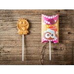 Lyra Lyratko lízátko z mléčné 35% čokolády 20 g – Zboží Dáma