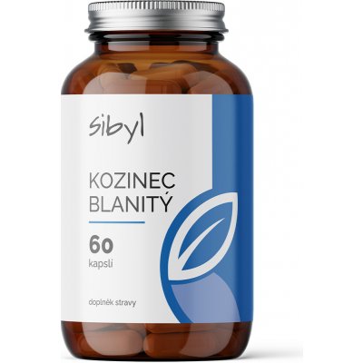 Sibyl Kozinec blanitý 60 kapslí – Hledejceny.cz