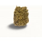 Bio-Tera Sphagnum Base 2 l – Zboží Dáma