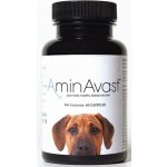 AminAvast kapsle 1000 mg 60 ks – Hledejceny.cz