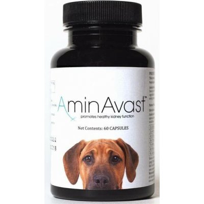 AminAvast kapsle 1000 mg 60 ks – Hledejceny.cz