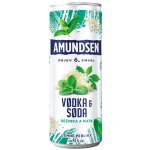 Amundsen + Soda bezinka 6% 0,25 l (plech) – Zboží Dáma