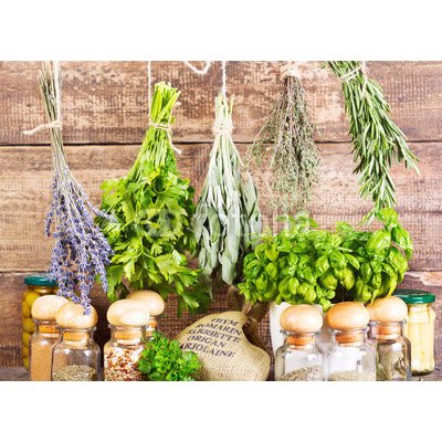 WEBLUX 70518876 Fototapeta plátno various fresh and dried herbs různé čerstvé a sušené byliny rozměry 160 x 116 cm – Sleviste.cz