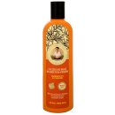 Babička Agafia rakytníkový Shampoo pro a lesk 280 ml