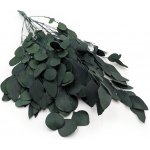 mech-mech.cz Stabilizovaný eukalyptus Populus - láhvově zelený – Hledejceny.cz